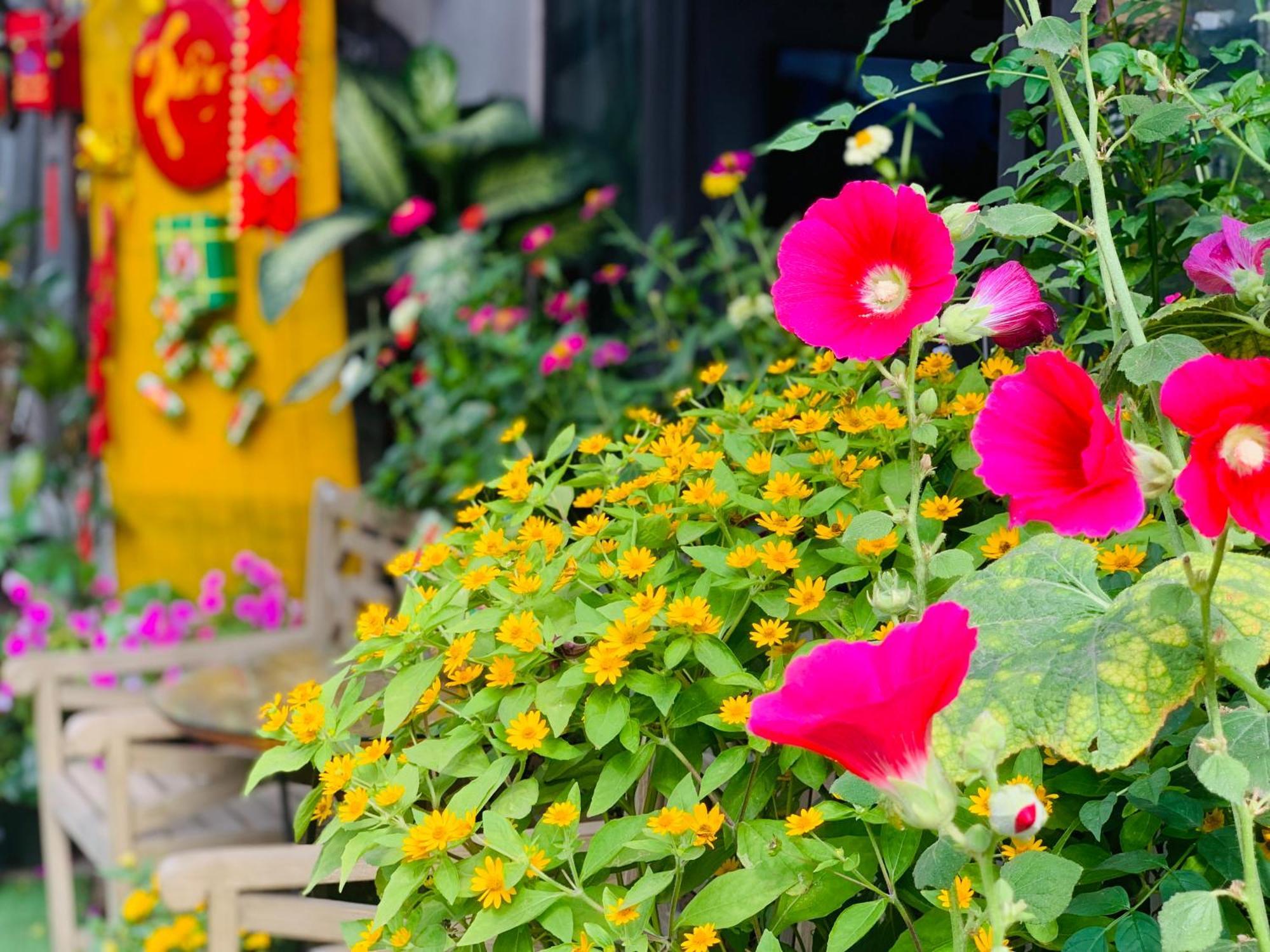 May'S House Hoi An Exteriér fotografie